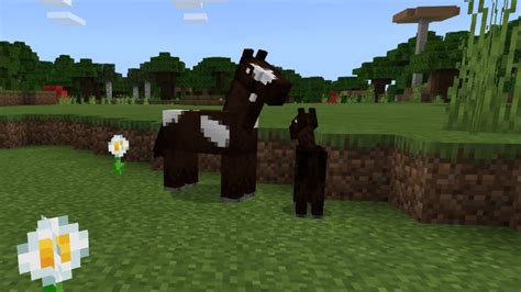 how do you catch wild horses in minecraft
